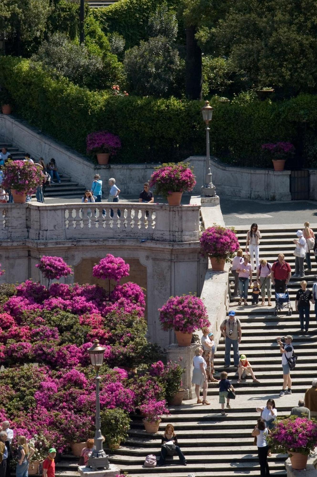Gasthuis The At The Spanish Steps Luxury Collection - The View *